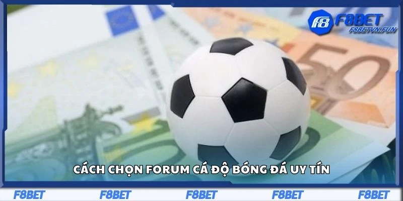 Cách chọn forum cá độ bóng đá uy tín