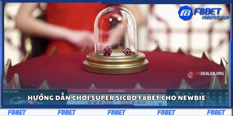 Hướng dẫn chơi Super Sicbo F8Bet cho newbie