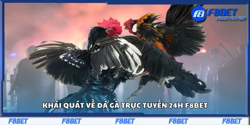 Khái quát về đá gà trực tuyến 24h F8Bet