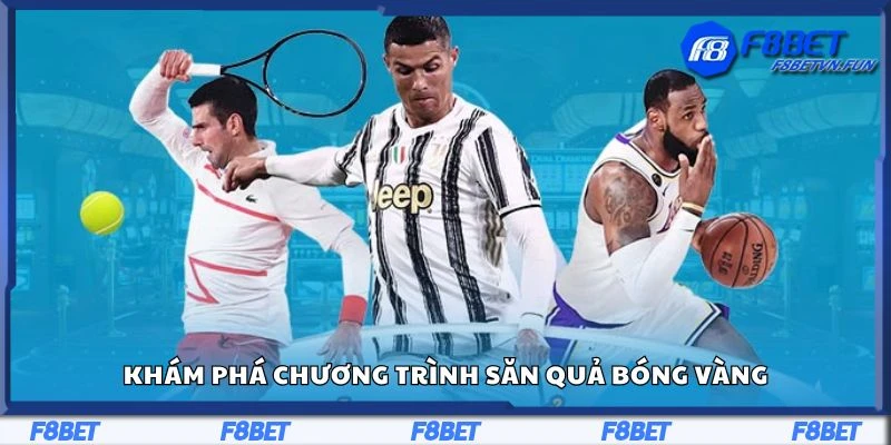 Khám phá chương trình săn quả bóng vàng