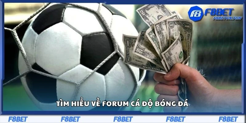 Tìm hiểu về forum cá độ bóng đá 