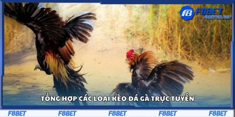 Tổng hợp các loại kèo đá gà trực tuyến